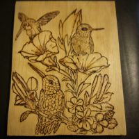 Hummingbirds and flowers