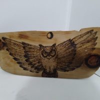 owl with wings spread woodburned plaque